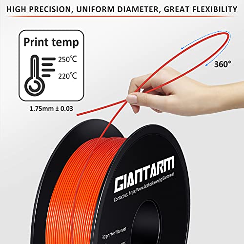 Image of GIANTARM Orange PETG 3D Printer Filament Toughness Enhanced 1kg (2.2lbs), 1.75mm Dimensional Accuracy + /-0.03mm, 1080 Feet（330m /Roll, Vacuum Package, Fit for Most 3D FDM Printer
