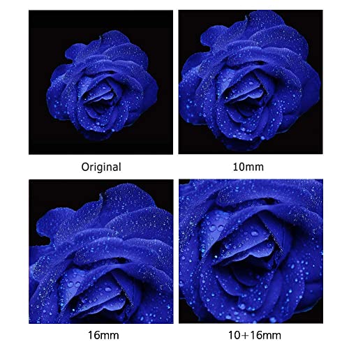 Venidice Ext-Nex-M Metal Auto Focus Macro Extension Tube Adapter Ring 10Mm 16Mm For Sony Mirrorless Nex E-Mount Nex 3/3N/5/5N/5R/A6000/A6300 And Full Frame A7 A7S/A7Sii A7R/A7Rii A7Ii … #TOP4