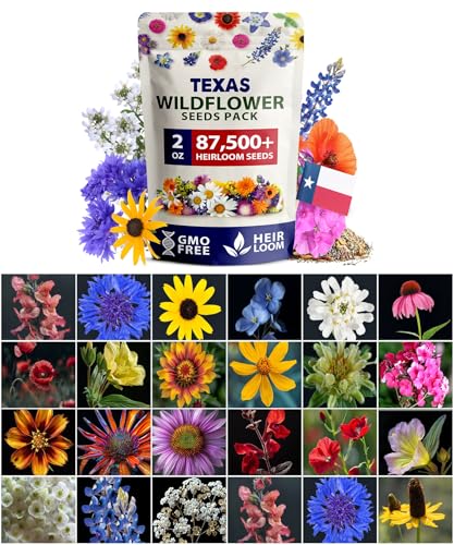 HOME GROWN Texas Wildflower Seeds 87,500+ Non-GMO Perennial Wildflower Seeds Mix for Attracting Bees, Birds & Butterflies - 22 Varieties Bulk Wild Flower Seed Mix for Full Sun & Shade Gardens (2 oz)