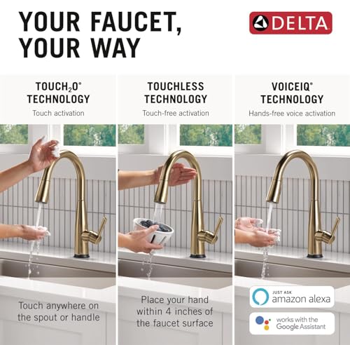 Image of VoiceIQ Single Handle Pull-Down Faucet with Touch2O Technology