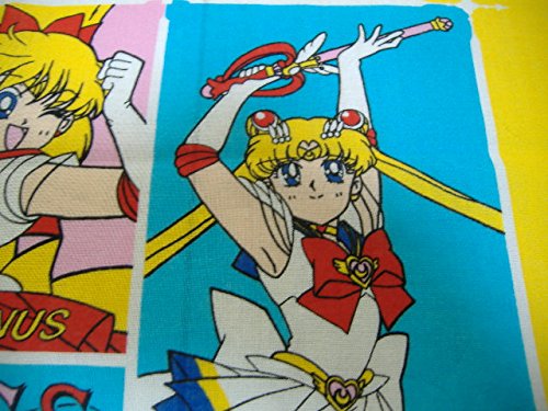 Amazon.co.jp: 美少女戦士セーラームーン セーラームーンSS 大判