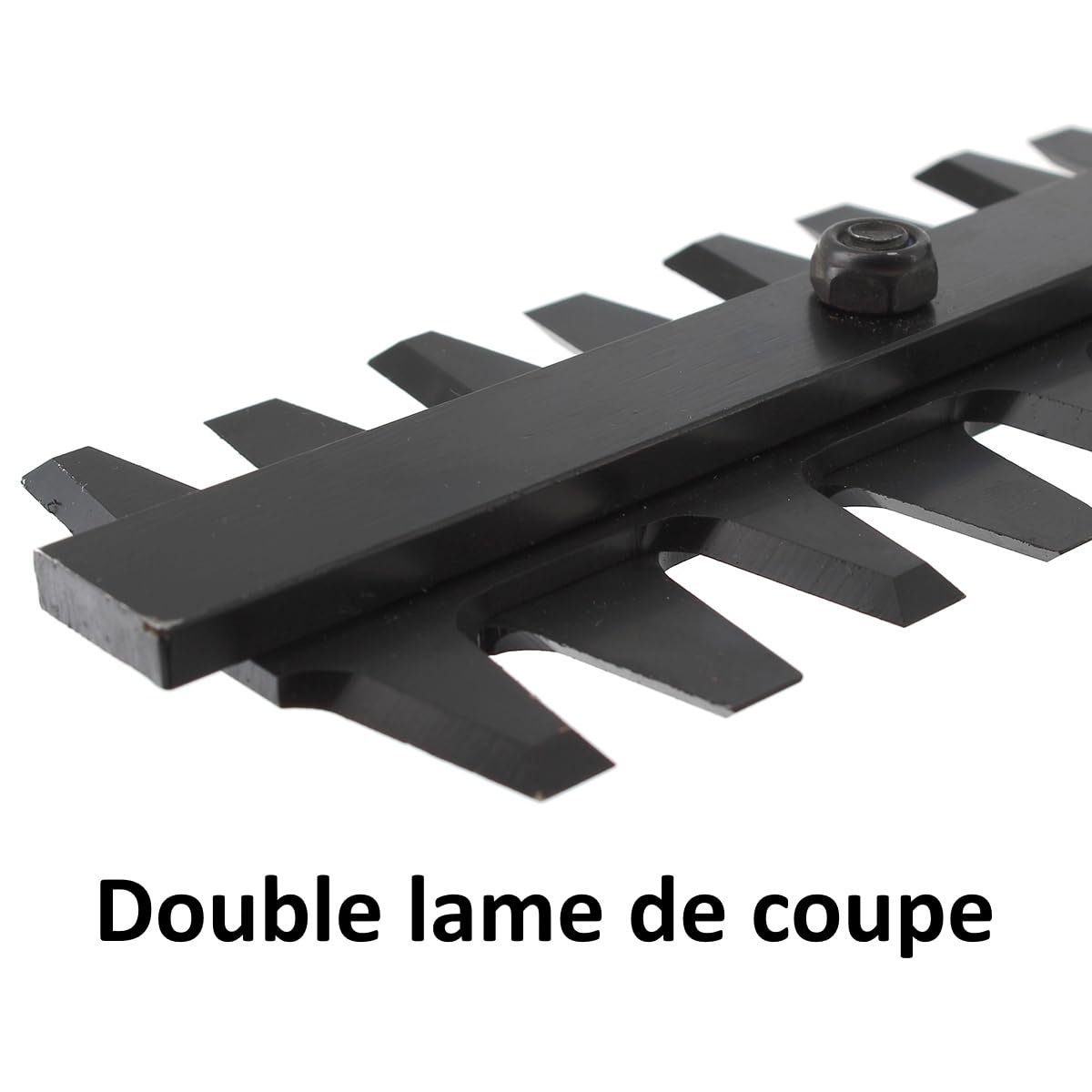 GT Garden Taille-Haies Thermique, 22.5 cm3, 1.1 CV, Double Lame 55 cm