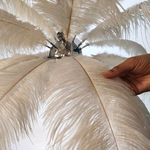 Image of Harold Electricals Modern White Ostrich Plumes Chandelier |Creative Feather Dulight Ceiling Pendant Light for Bedroom Living Room Dining Area Cafe Hotel Photography Prop -Bulb Included