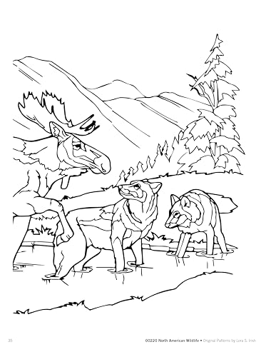 North American Wildlife Line Art Patterns for Carving, Pyrography & Crafts (Fox Chapel Publishing) 21 Original Designs by Lora Irish - Bear, Moose, Wolves, Deer, Buffalo, Coyote, and More - Image 4