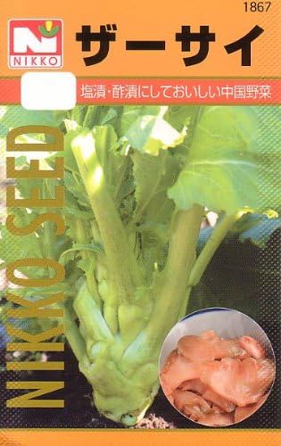 Amazon 種子 ザーサイ 1867 野菜