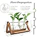 Renmxj Plant Propagation Stations with Wooden Stand & 3 Glass Bulb Vases - Plant Terrarium for Indoor Plants, Home Office Desk Decor, Gardening Gifts for Women Mom, Birthday Gifts for Plants Lovers
