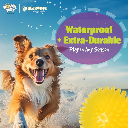 Gnawsome™ 3.5” Spiky Squeak & Light Ball Dog Toy – Medium, Cleans Teeth and Promotes Good Dental and Gum Health for Your Pet, Colors will vary, 3.5″ Gnawsome™ 3.5” Spiky Squeak & Light Ball Dog Toy – Medium, Cleans Teeth and Promotes Good Dental and Gum Health for Your Pet, Colors will vary, 3.5″