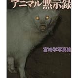 アニマル黙示録: 宮崎学写真集 (FRIDAY DELUXE)