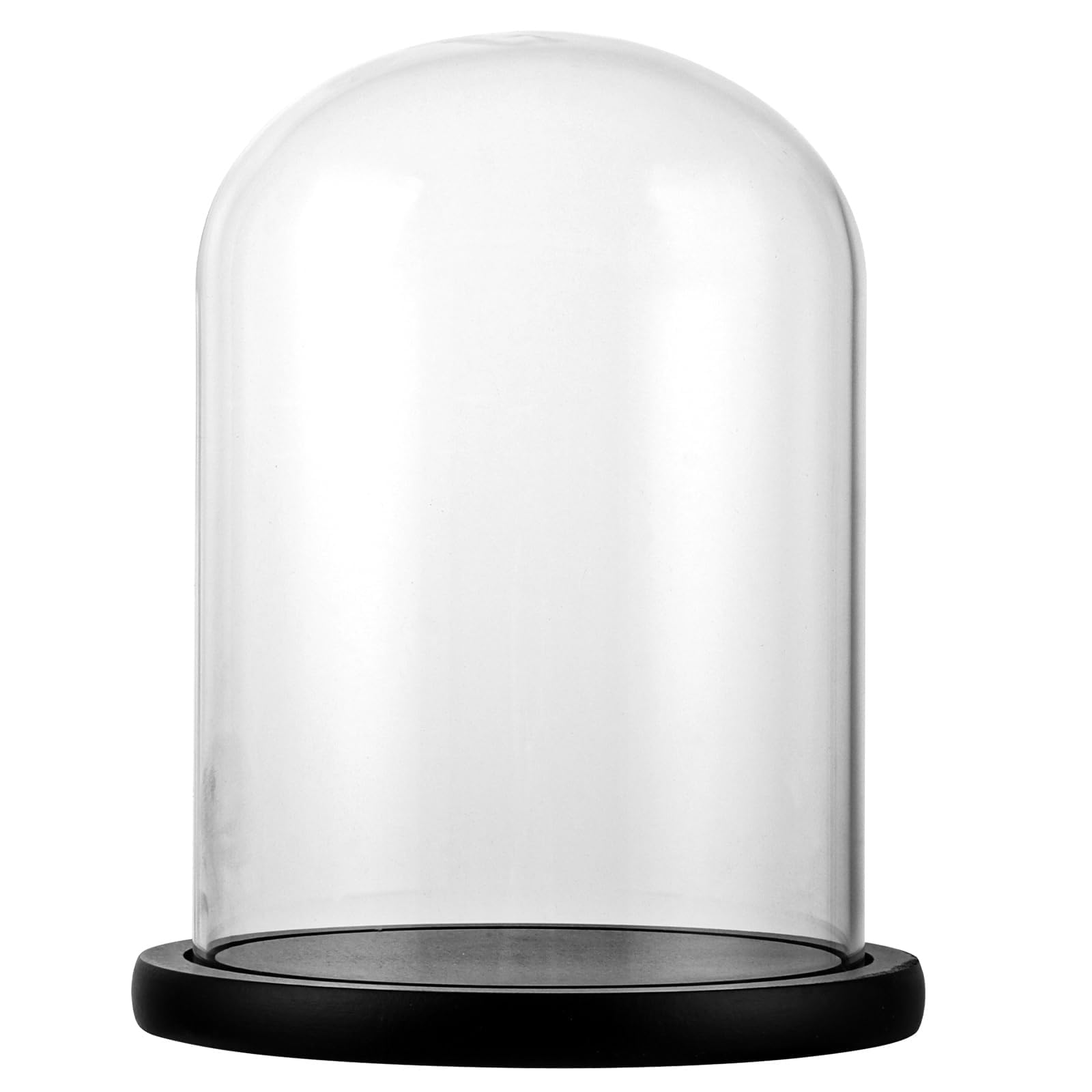 Campana Di Vetro Trasparente Con Base In Legno Massello – Diametro 18 Cm, Altezza 22/25/30/35 Cm – Espositore Per Collezioni E Fiori Secchi