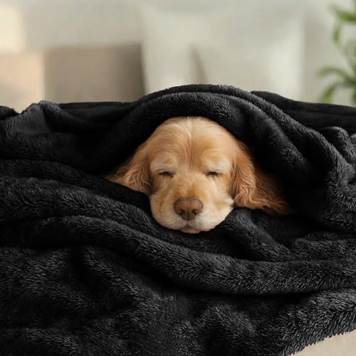 Image of Exclusivo Mezcla Plush Fuzzy Fleece Bed Blanket King Size, Super Soft, Fluffy and Warm Blankets for Couch, Bed, All Season (Black, 90x104 inches)