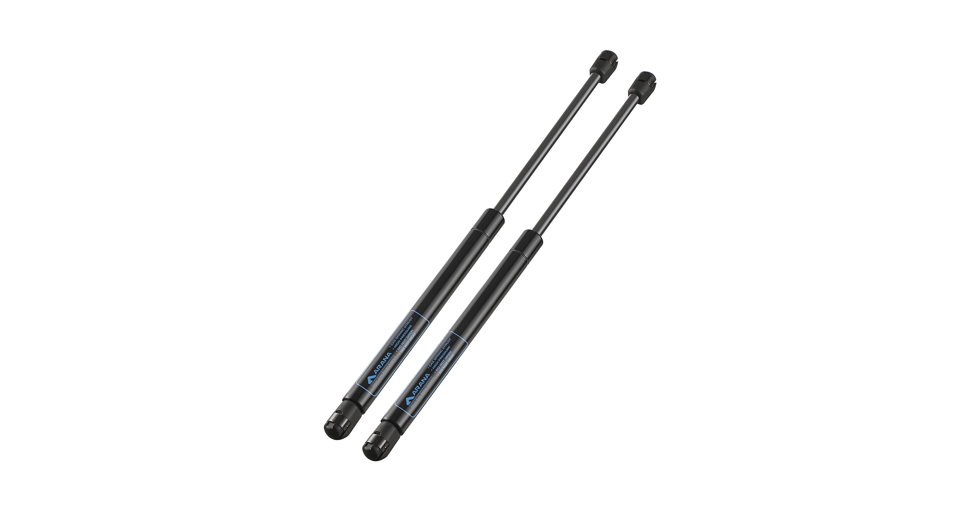 ダルベロLupoAX100 Amazon.com: 20