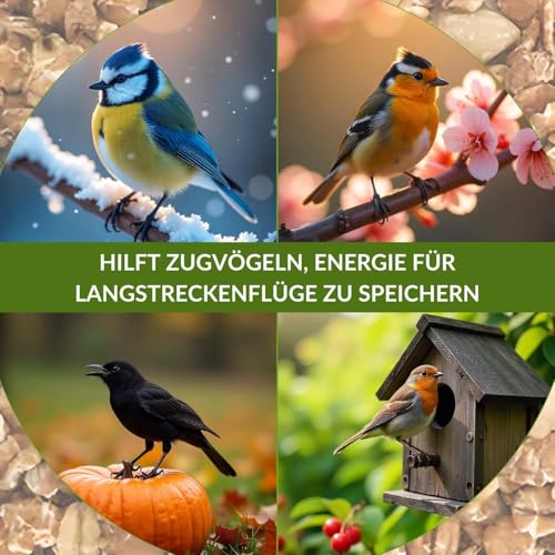 Fettfutter Vogelfutter für Wildvögel – Ganzjähriges Mischfutter mit hohem Fettgehalt, ideales Streufutter für 4 Jahreszeiten (25 kg)