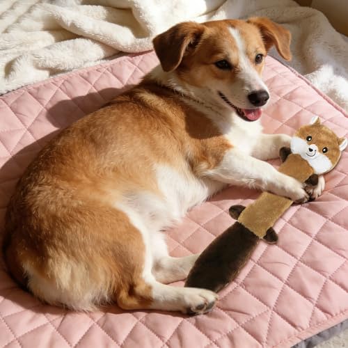 Juguete mordible interactivo para perros pequeño-medianos miniatura 7