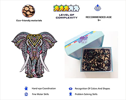 Amazon.com: Hartmaze