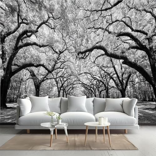 Kanworse Peel and Stick Wallpaper Oak Tree Avenue Black White Vinyl Wall Mural Self-Adhesive Wall Decal Removable Removable Easy to Cut Waterproof Sticker 100