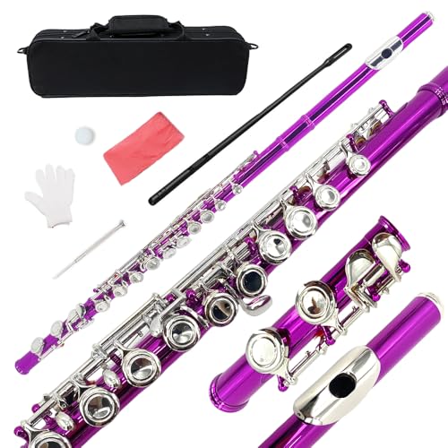 YoungMonic Closed Hole C Flutes 16 Keys Flute for Beginner Student Pink Nickel Flute Instrument with Cleaning Kit Carrying Case Gloves Tuning Rod