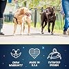 2 Hounds Design Freedom No-Pull Dog Harness Training Package with Leash, Medium (1 Wide), Black