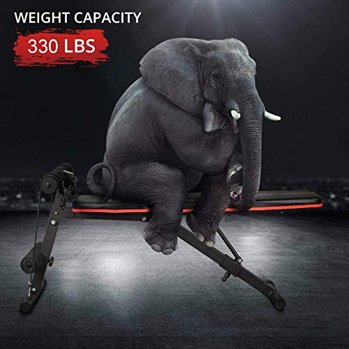 U’King Adjustable Weight Bench - Utility Weight Bench for Full Body Workout- Foldable Flat/Incline/Decline Perfect for Bench Press, Sit-ups, Leg Lifts, Full Body Fitness(Black)