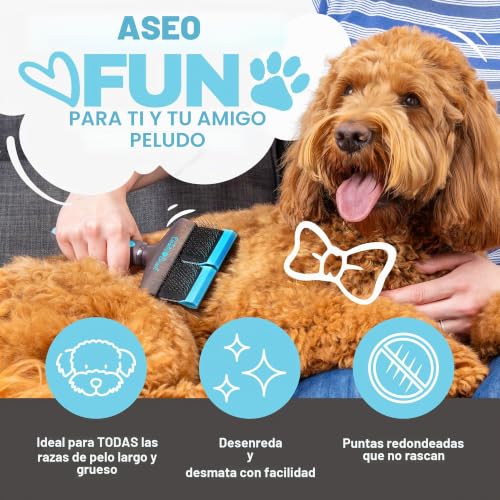 Cepillo para perros doodles labradoodle goldendoodle kit de aseo largo 2