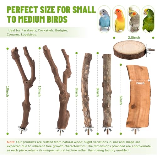 Image of 6 Pcs Natural Wood Bird Perch & Platform Set for Cage