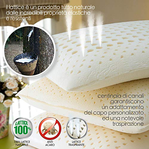 Goldflex Cuscino Ergolattice Saponetta H 12 cm