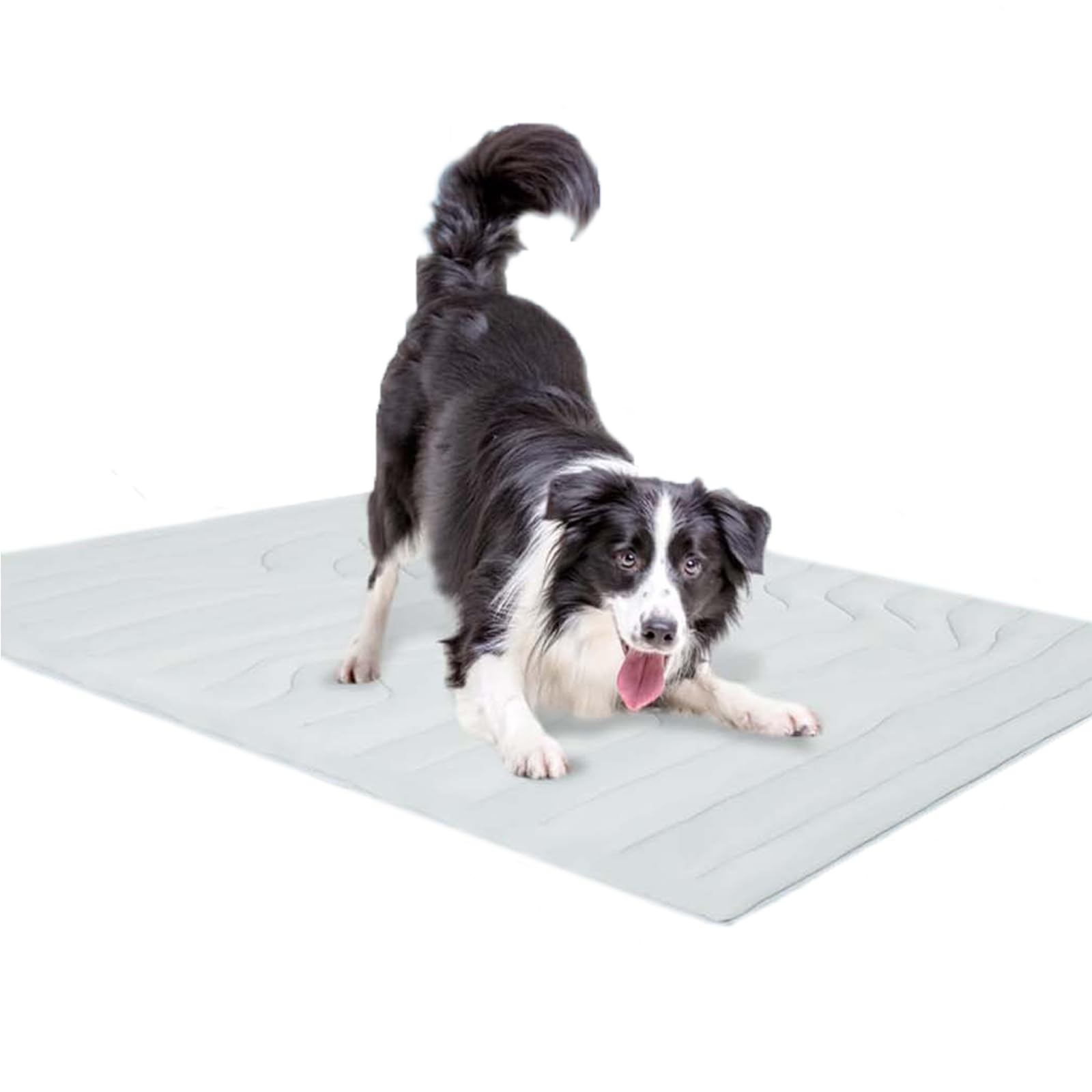 Alfombrilla hipoalergénica fresca para perros y gatos, suave, aterciopelada, para dormir, lavable a máquina, delgada, permanente, para sofá
