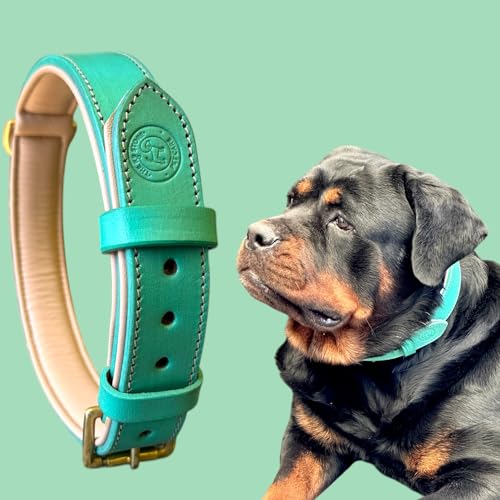 Image of High Graded Premium Leather Dog Collar- Dog Collar for Large Dogs (Green, Size Neck - X Large (22.5-26.5 Inch))