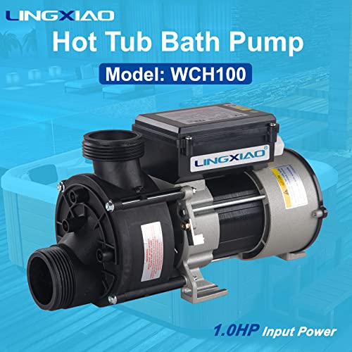 Image of Bath Pump & Hot Tub Bath Pump - LX Bath Pump 110V - 120V, 1.5 inch Port (WCH100)