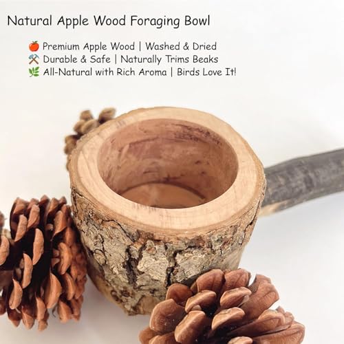 Bird Perch with Feeder for Cage & Chew Toys Pinecones - Bird Cage Accessories 100% Natural & Durable for Cockatiel, Conure, Budgie, Lovebird, Parakeet - Parrot Food Treats Bowl for Foraging - Image 3