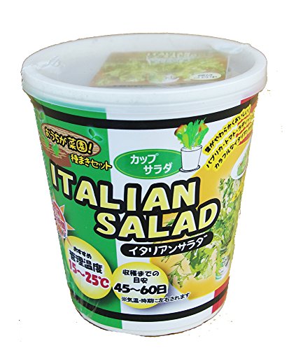 フォレスト カップサラダイタリアンサラダ おうちが菜園! 種まきセット 栽培キット