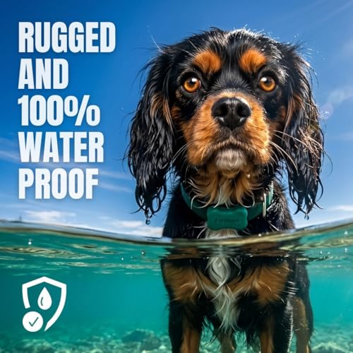 FitBark 2 Dog Activity Monitor | Health & Fitness Tracker for Dogs | Waterproof, Small & Leightweight (10 g) | Not a GPS Tracker - Image 7