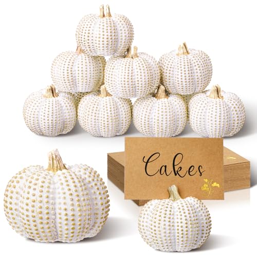Chunful 10 Set Thanksgiving Mini White Pumpkin Place Card Holder Resin Fall Pumpkin Decoration Thanksgiving Table Card Holder Fall Themed Weddings Farmhouse Table Centerpiece