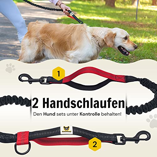 Hundefreund Joggingleine mit Bauchgurt Rot | Laufleine Elastisch Ruckdämpfend Reflektierend für mittelgroße und große Hunde bis 70 kg | Freie Hände zum Joggen Laufen Radfahren Wandern