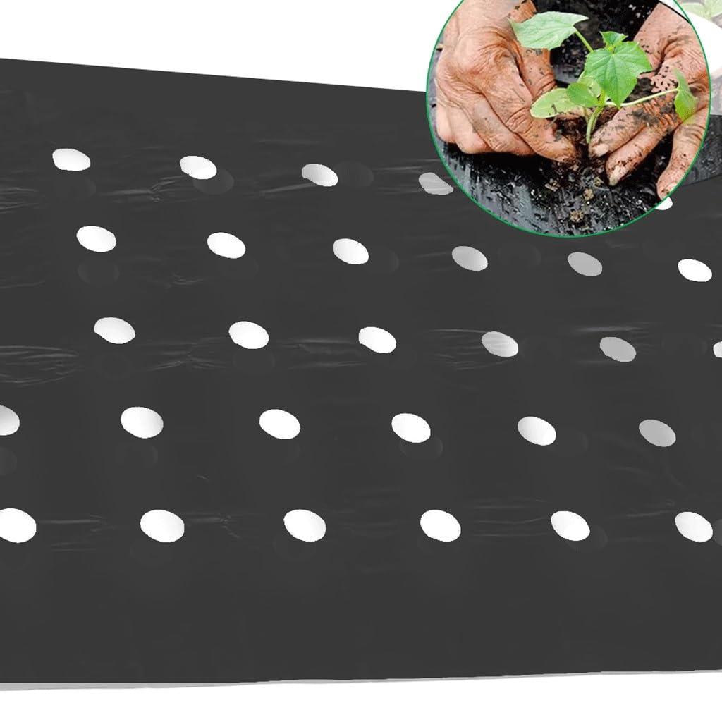 Lámina de plástico, Membrana Impermeable, Polietileno de 10 m, para invernaderos, huertos, Fresas, Control de malezas, Accesorios de película Perforada (0,95 x 10 m, 5 Agujeros)