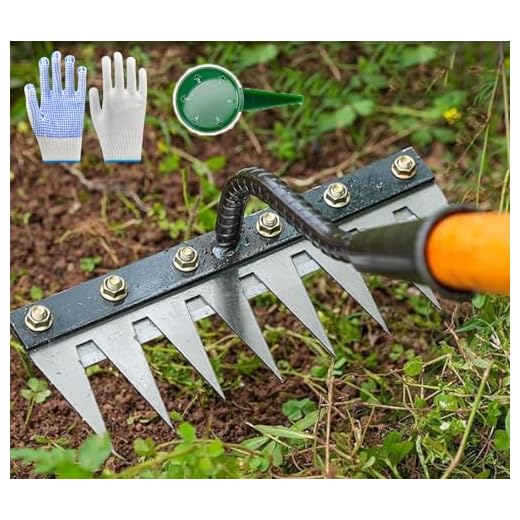 Heavy-Duty Iron Weeding Rake
