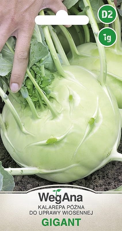 WegAna Gigant Kohlrabi Seeds 1g Semillas, Semillas de Hortalizas Robustas, Semillas de Hortalizas, Cultivo de Semillas