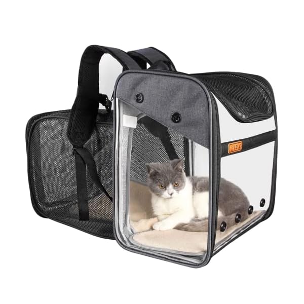 Transporttasche Rucksack Haustiere Hunde Katzen 10kg, Erweiterbare Große Tragbare Katzenrucksack Hunderucksack 4 Eintritt Top Öffnung Transparent Tragetasche Faltbar Airline Genehmigt Reisen