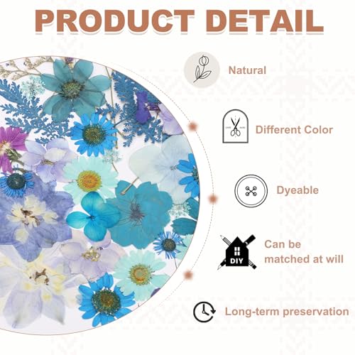 Dried Pressed Flower Leaves Bulk 45 Piezas Azul miniatura 3
