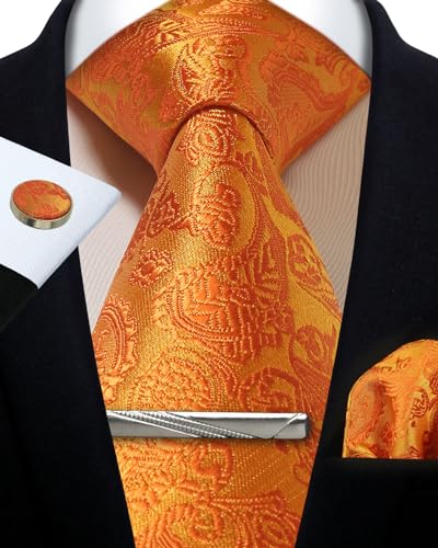 Image of Paisley Floral Mens Tie Formal Necktie Pocket Squares Ties Clips Cufflinks Classic for Men Set