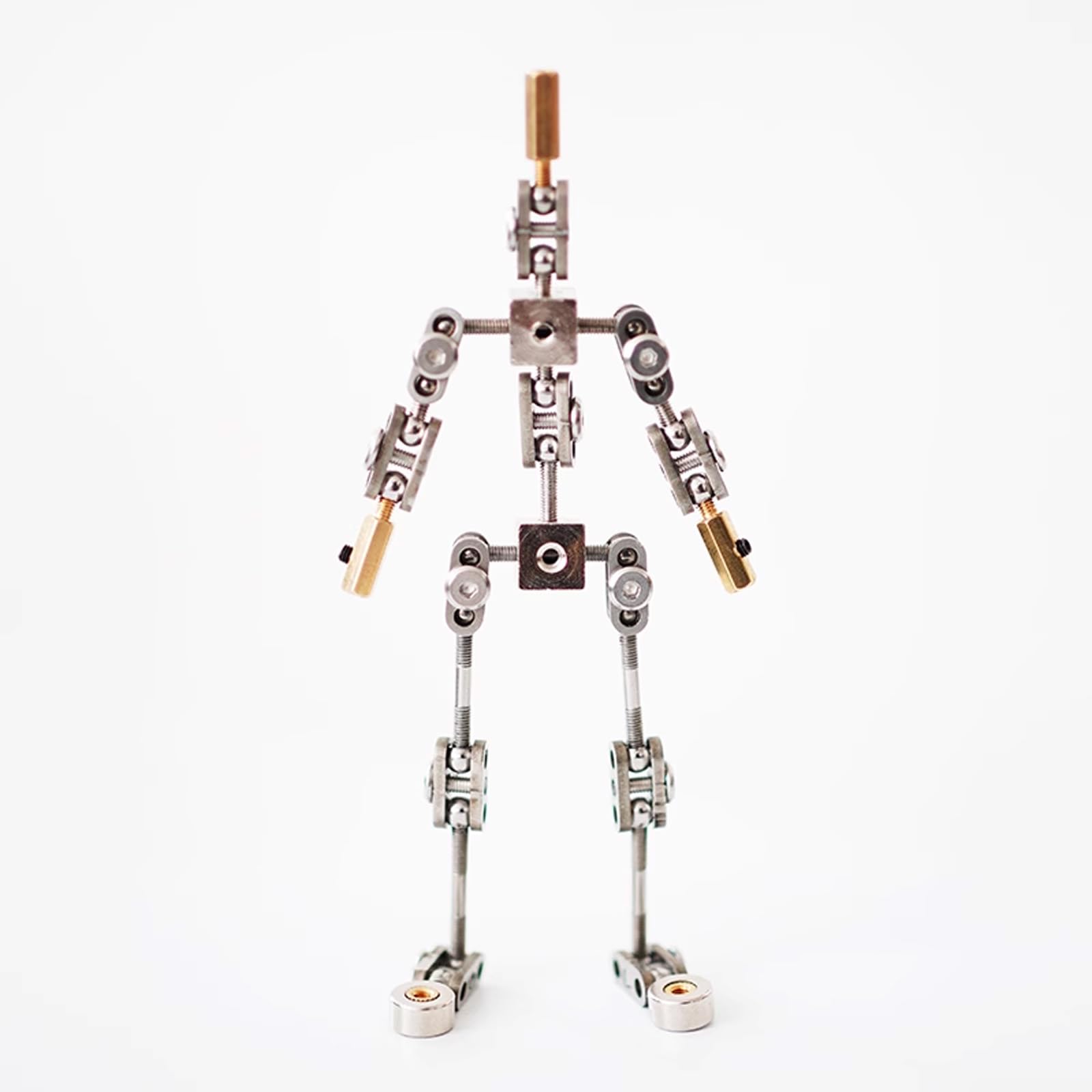 Stop Motion Animations Charakter Skelett, Professionelles Skelett Aus Edelstahl,Geeignet FüR Studio Animationen.Stop Motion Animations Charakter Marionetten Skelett(Size:14cm)