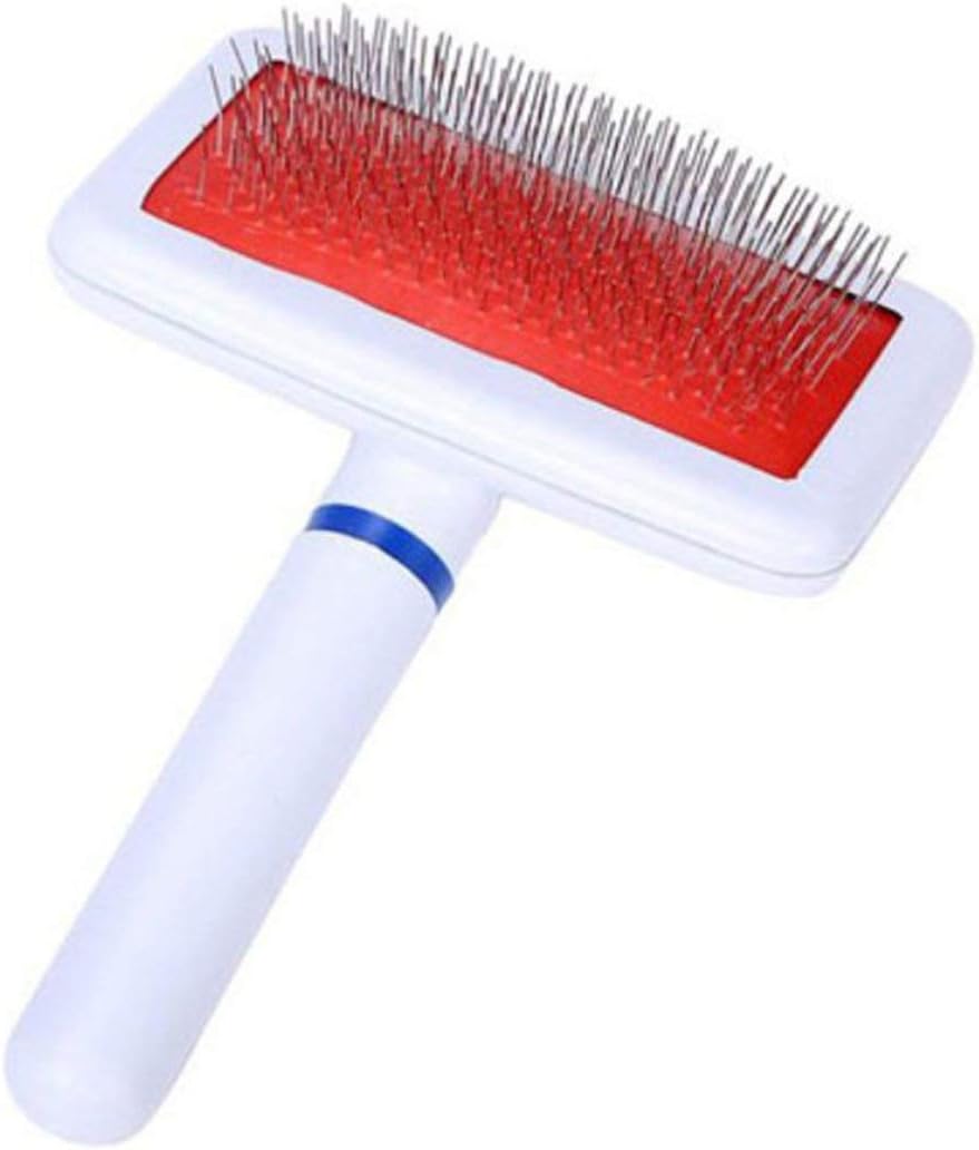 strumenti per cani da compagnia