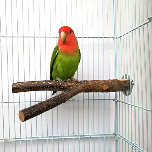 image for QUMY 2 Pack Parrot Bird Cage Perch Natural Wood Fork Stand Perch Woode