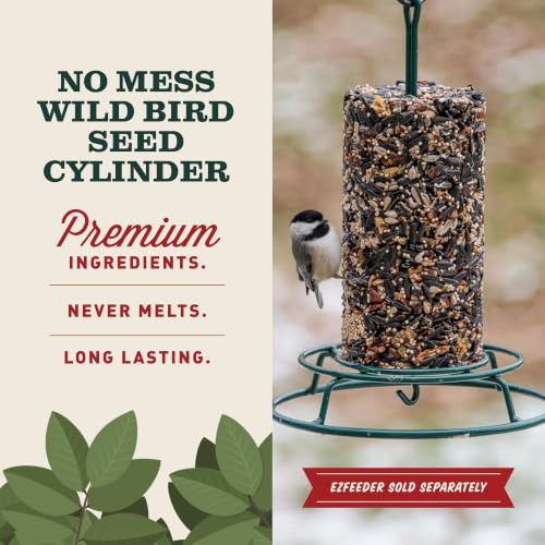 Image of Mr. Bird WildBird Feast Cylinder, 2-Pack, 1 lb 15 oz | Wild Bird Seed for Outside Feeders | Premium Blend of Pecans, Sunflower Hearts & Millet | No Mess, No Melt