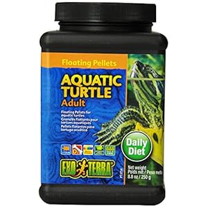 Exo Terra Floating Pellets Adult/Aquatic Turtle Food, 250 g