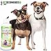 Vet Recommended Ringworm Solution for Dogs (4oz/120ml) - Concentrate Makes Two 16oz Bottles of Spray. Make Your Dog Ringworm Free. Made in USA
