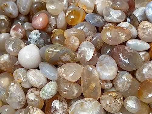 Image of 1 /2 LB Tumbled Stones - Polished Flower Agate Gemstone Healing Crystals