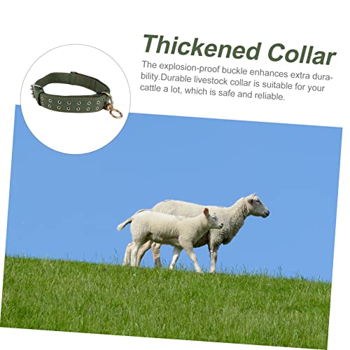 Collar de lona ajustable para caballos y ganado en cría 3
