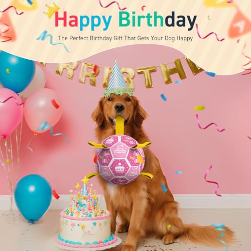 Image of QDAN Dog Birthday Toys, Puppy Gifts, Dog Soccer Ball with Straps, Pink | 8 Inch Outdoor Herding Balls for 30-90 lbs Dogs, Interactive Training Soccer Toy for Tug of War, Dog Ball to Keep Them Busy