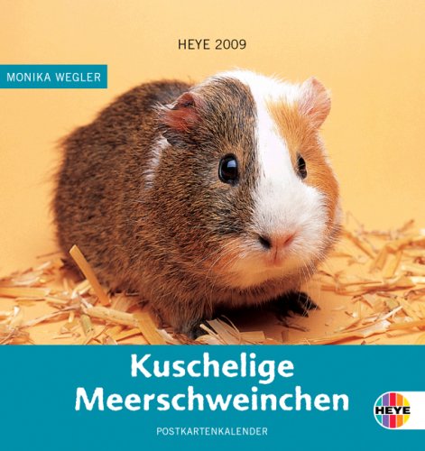 Kuschelige Meerschweinchen, Postkartenkalender 2009