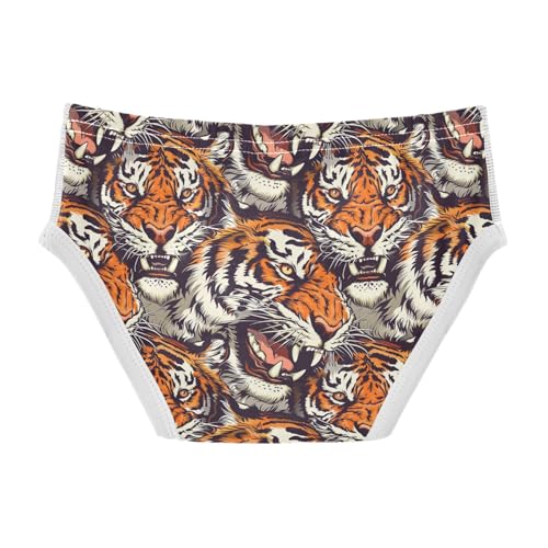 visesunny Boys Cotton Underwear Graffiti Northeast Tiger Printed Toddler Soft Training Briefs Size 2T-8Y for Kids2